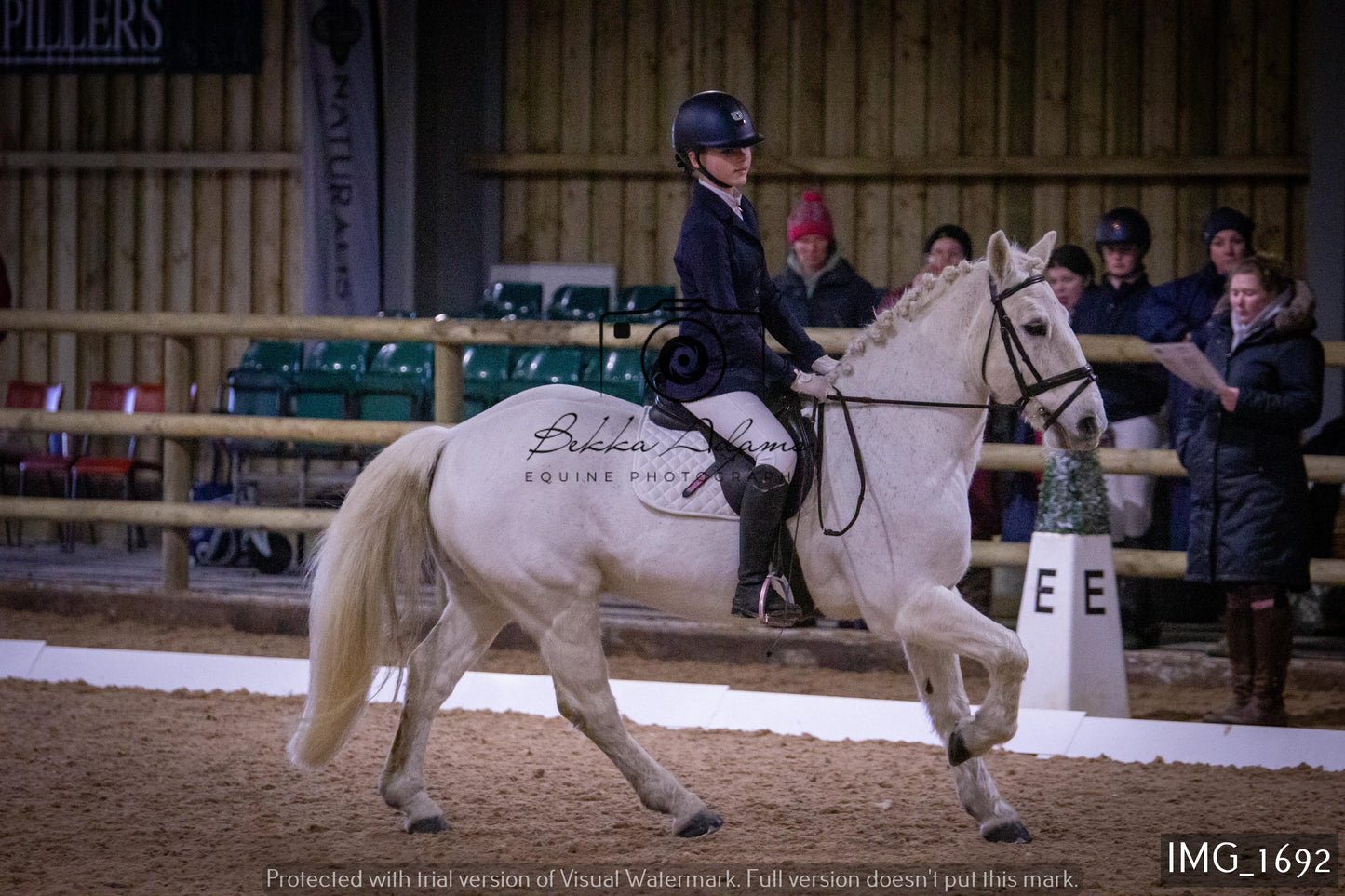 Home Farm Dressage 22nd January - Juniors