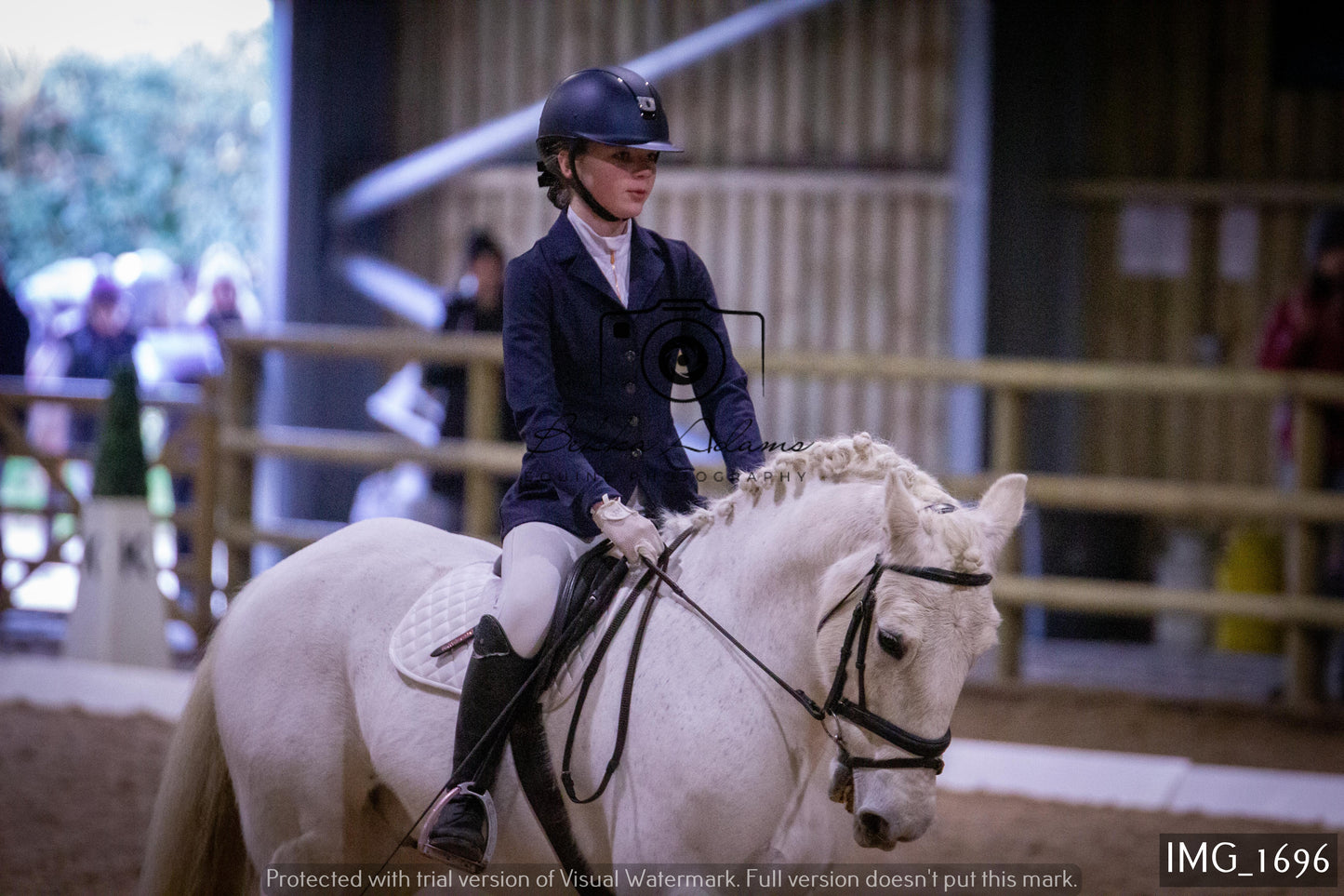 Home Farm Dressage 22nd January - Juniors