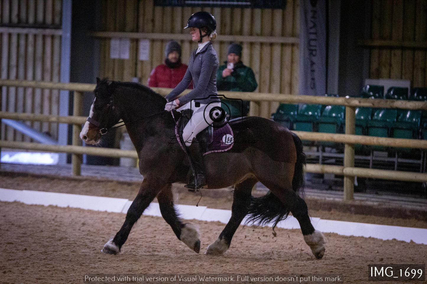 Home Farm Dressage 22nd January - Juniors
