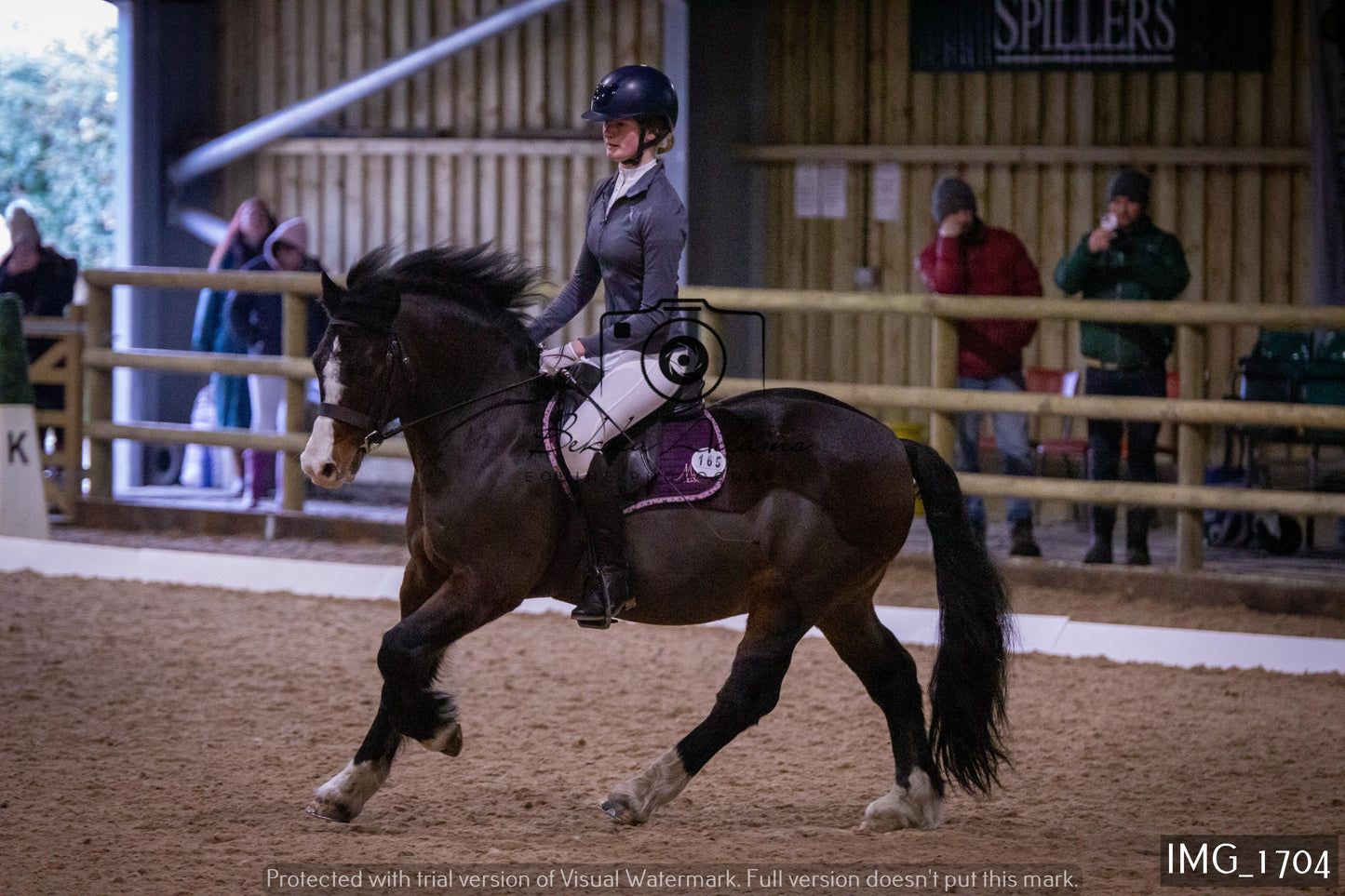 Home Farm Dressage 22nd January - Juniors