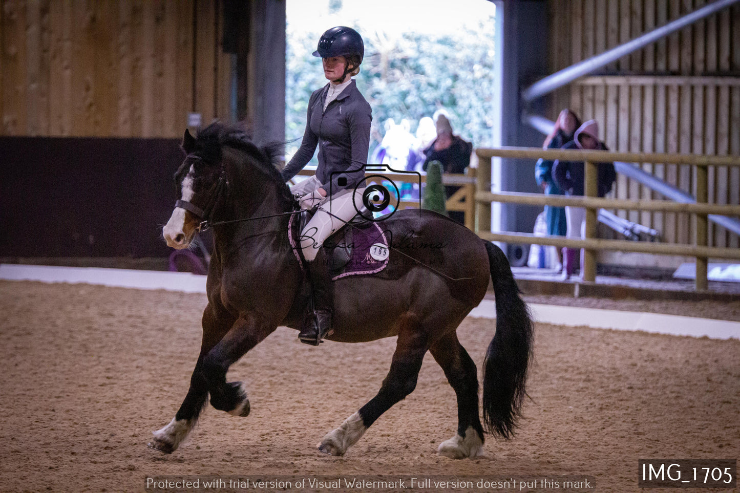 Home Farm Dressage 22nd January - Juniors