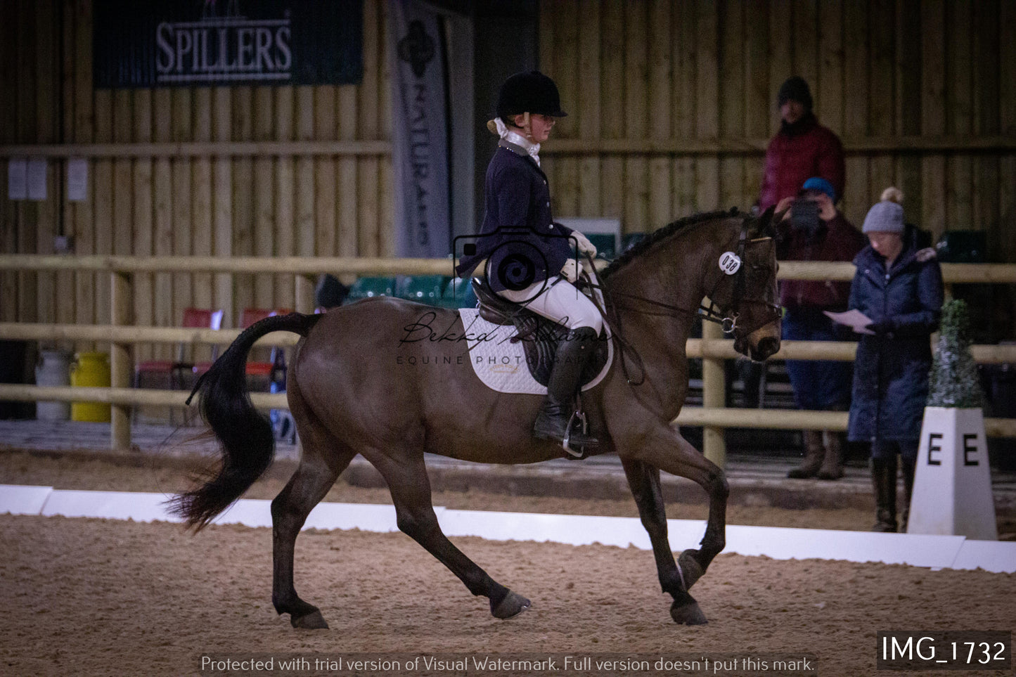 Home Farm Dressage 22nd January - Juniors