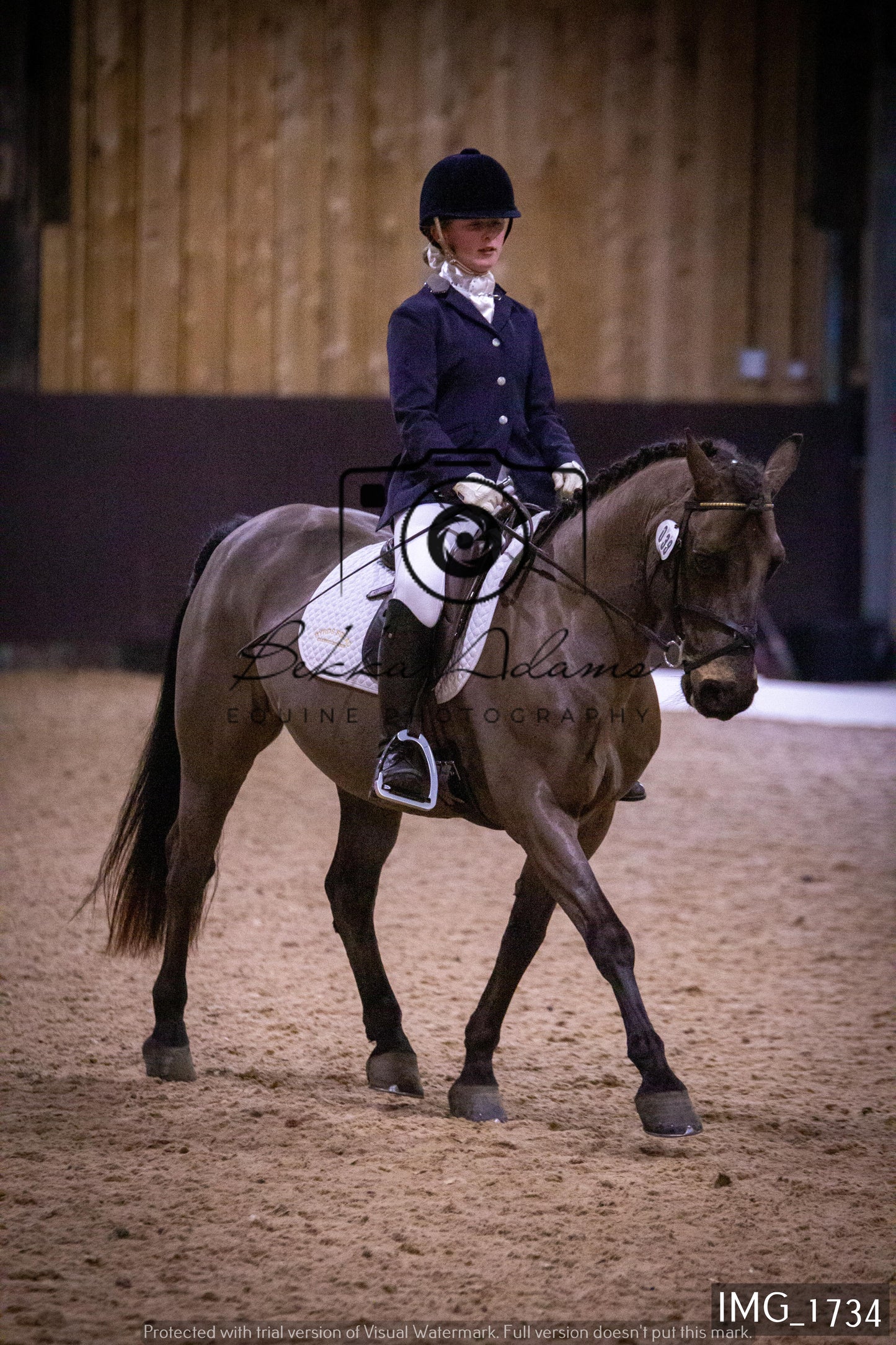 Home Farm Dressage 22nd January - Juniors