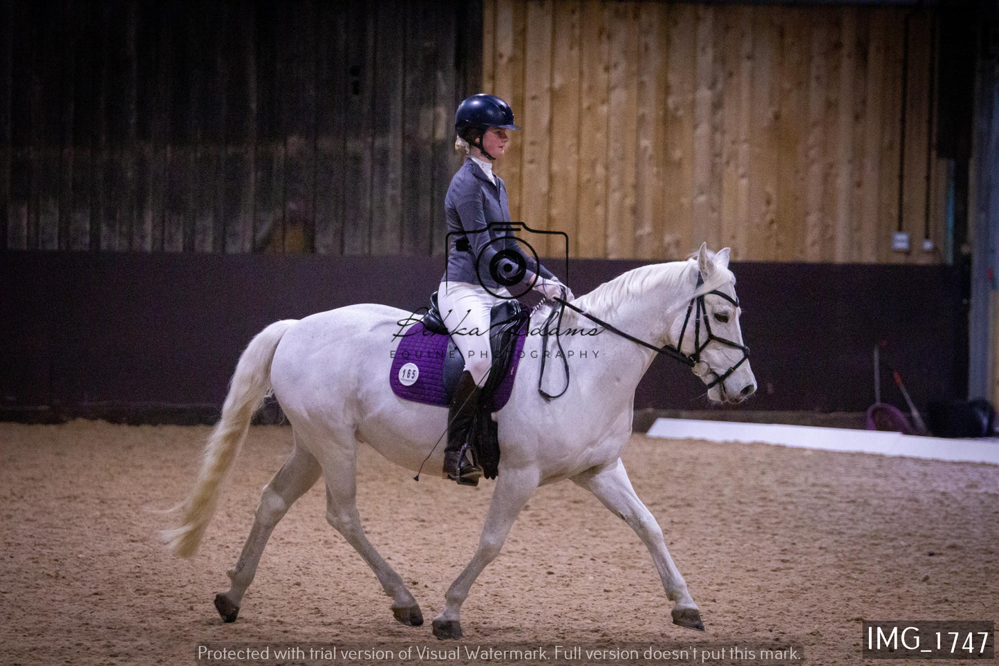 Home Farm Dressage 22nd January - Juniors