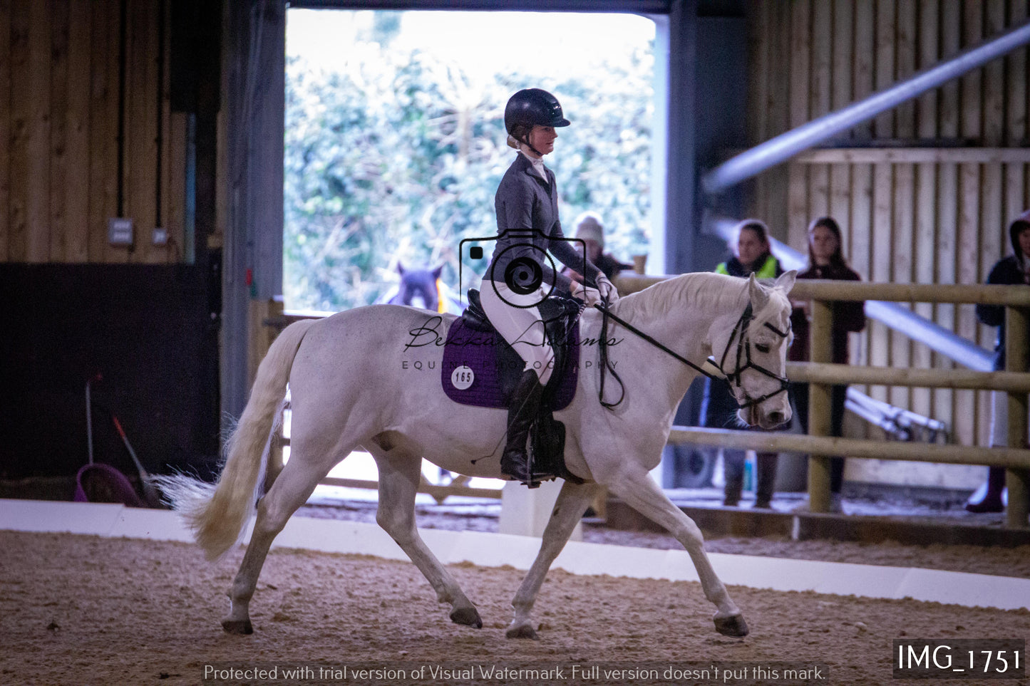 Home Farm Dressage 22nd January - Juniors