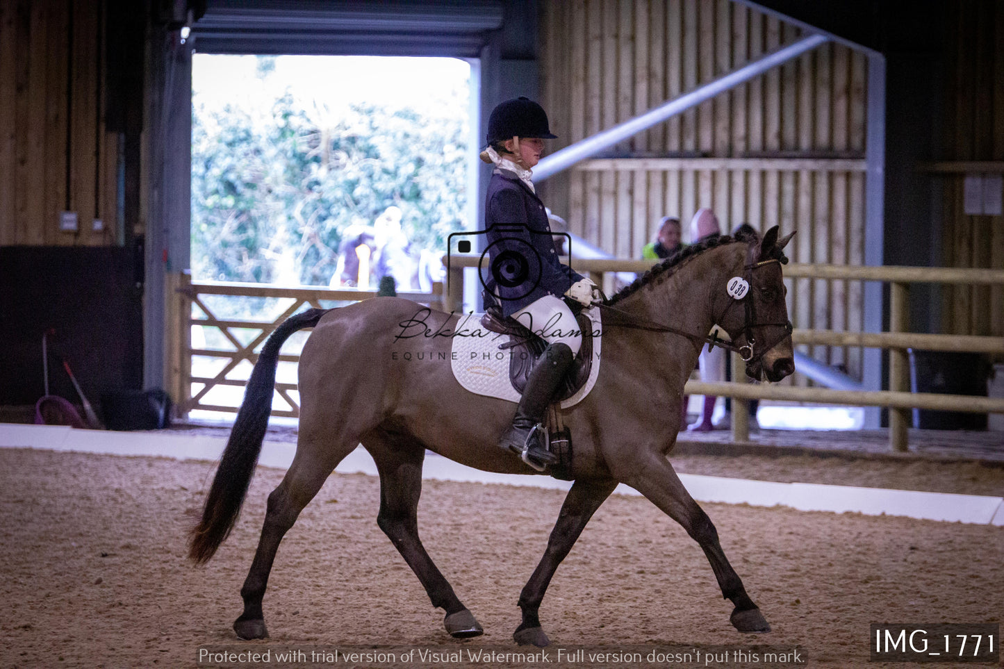 Home Farm Dressage 22nd January - Juniors