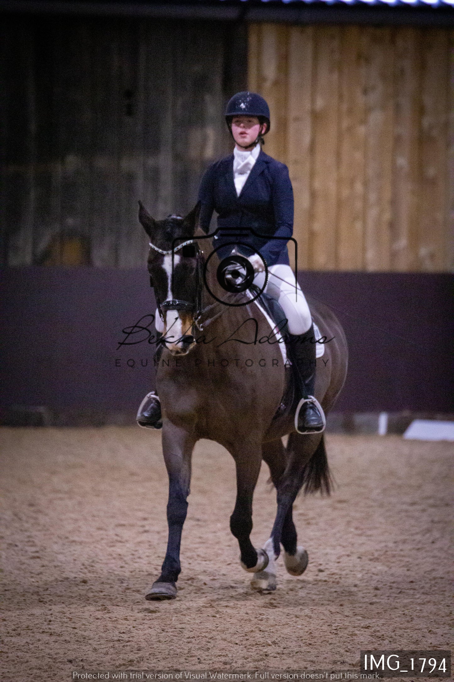 Home Farm Dressage 22nd January - Juniors