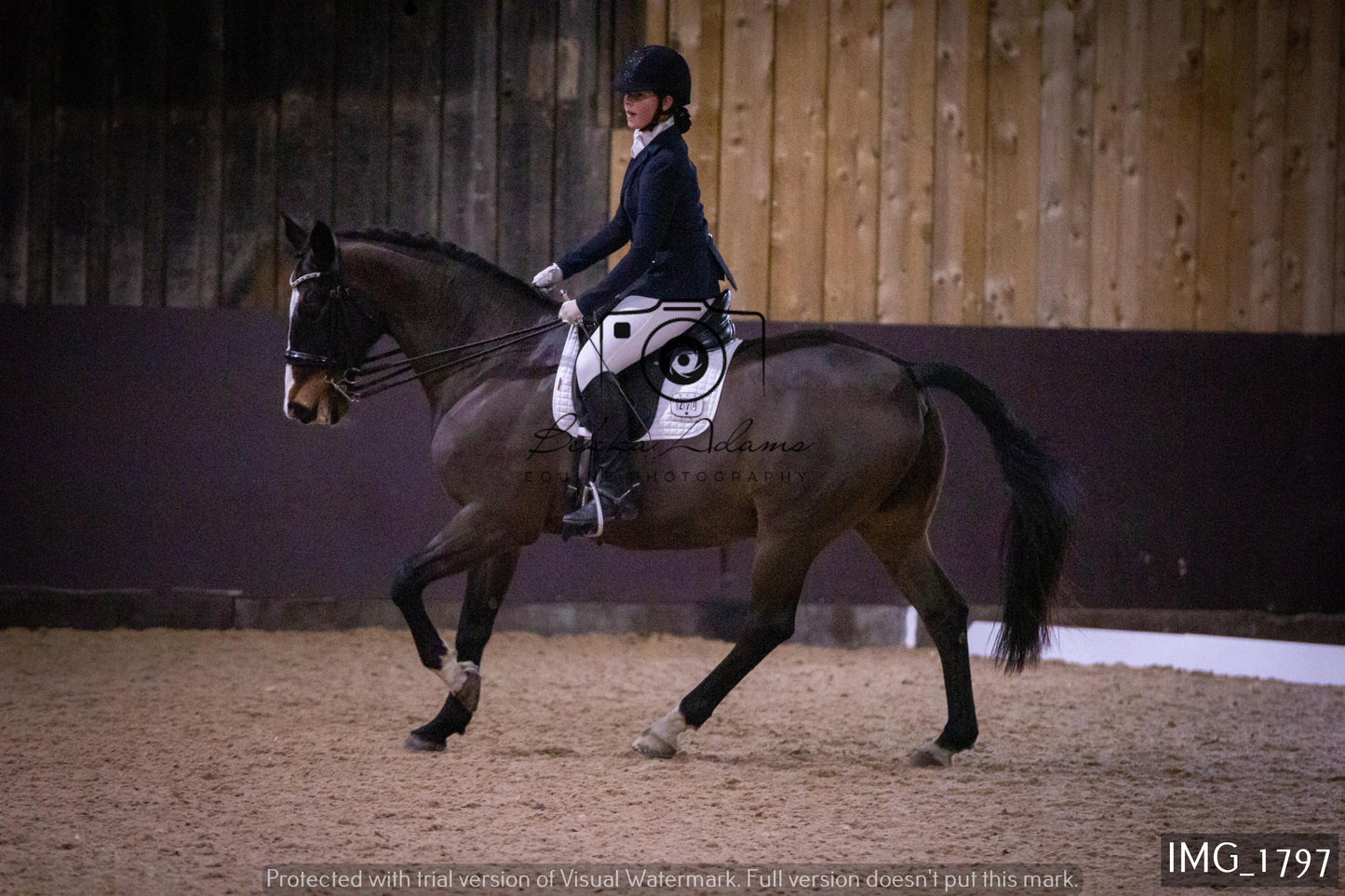 Home Farm Dressage 22nd January - Juniors