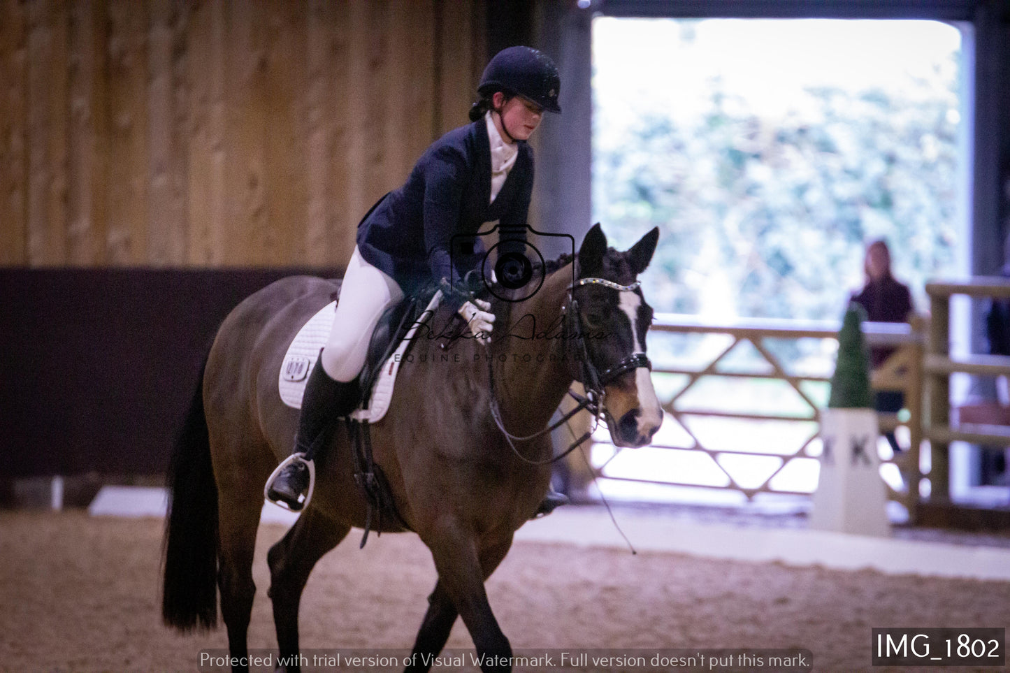 Home Farm Dressage 22nd January - Juniors