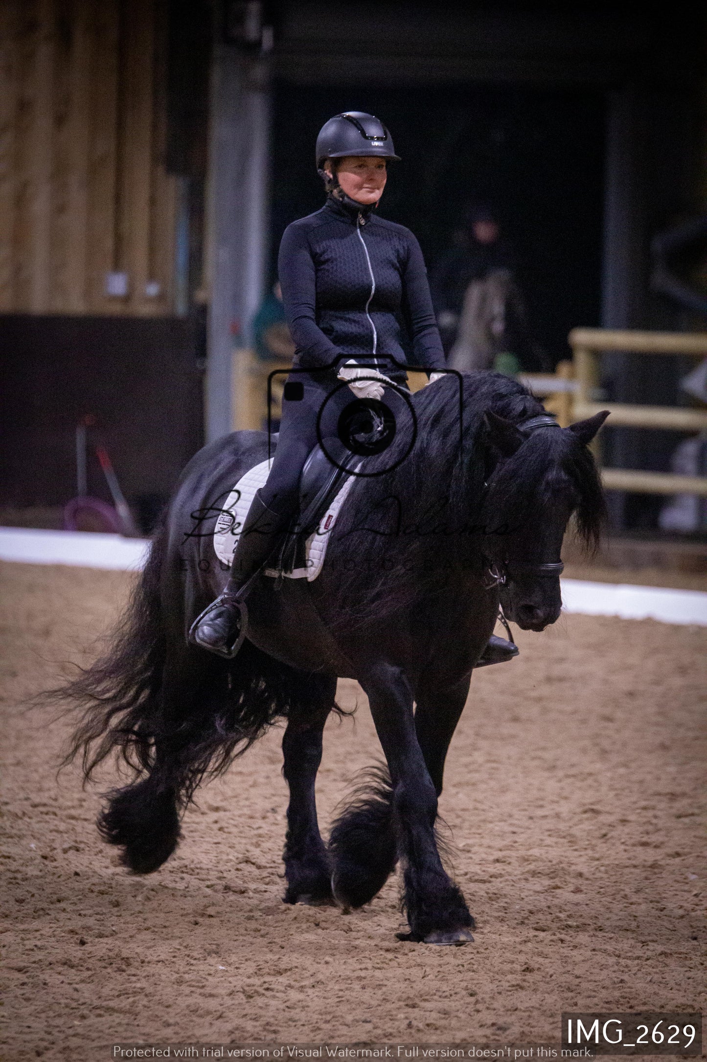 Home Farm Dressage 22nd January - Seniors