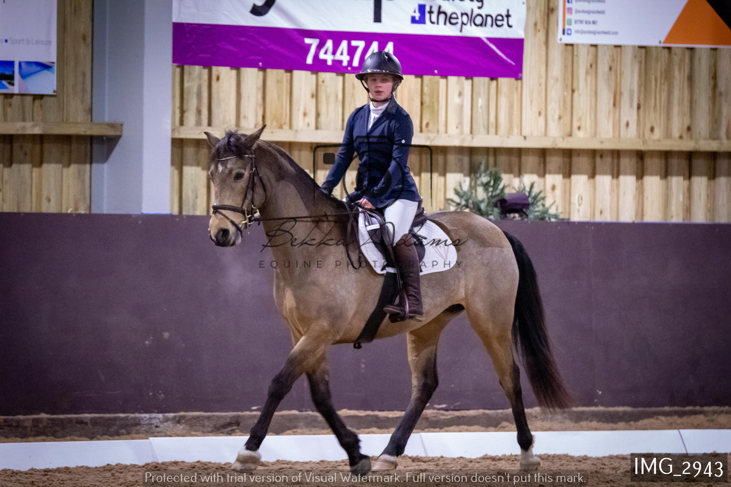 Home Farm Dressage 12th February - Juniors