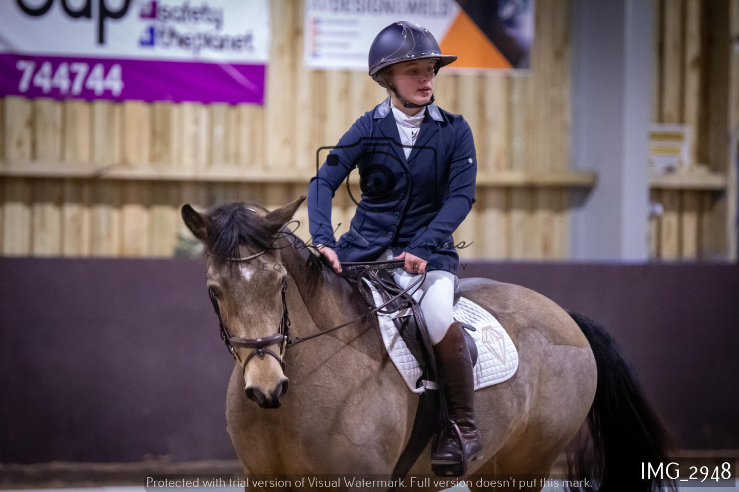 Home Farm Dressage 12th February - Juniors
