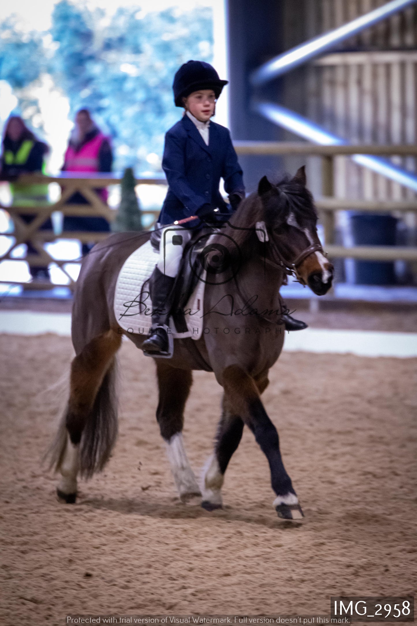 Home Farm Dressage 12th February - Juniors