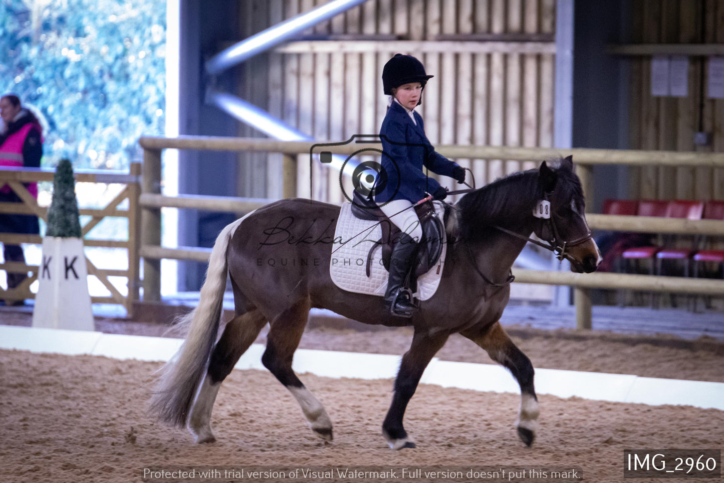 Home Farm Dressage 12th February - Juniors