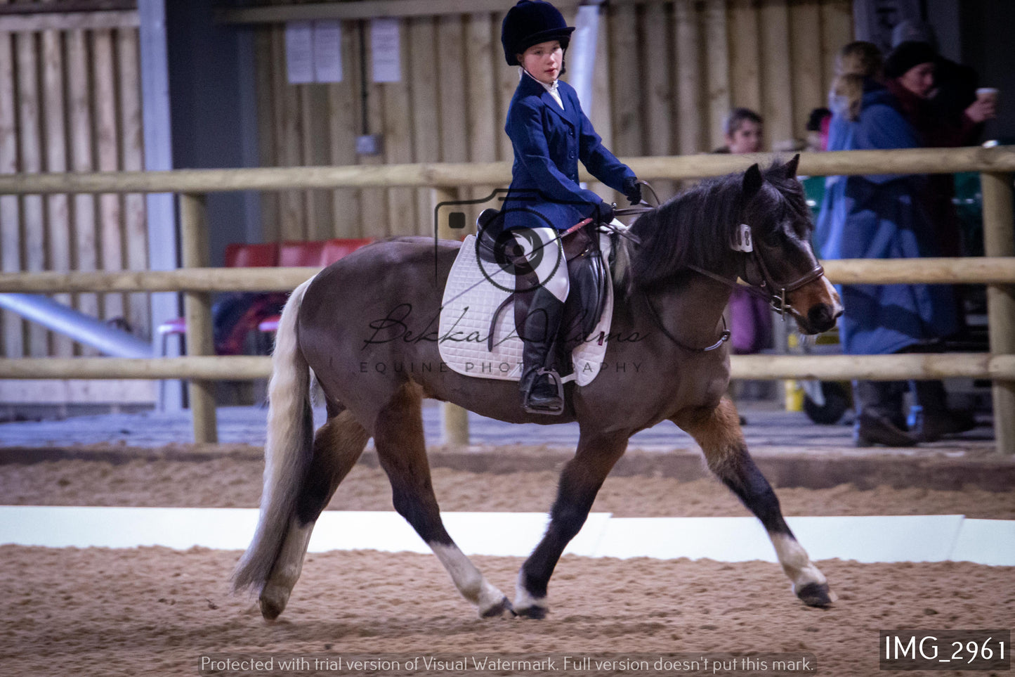 Home Farm Dressage 12th February - Juniors