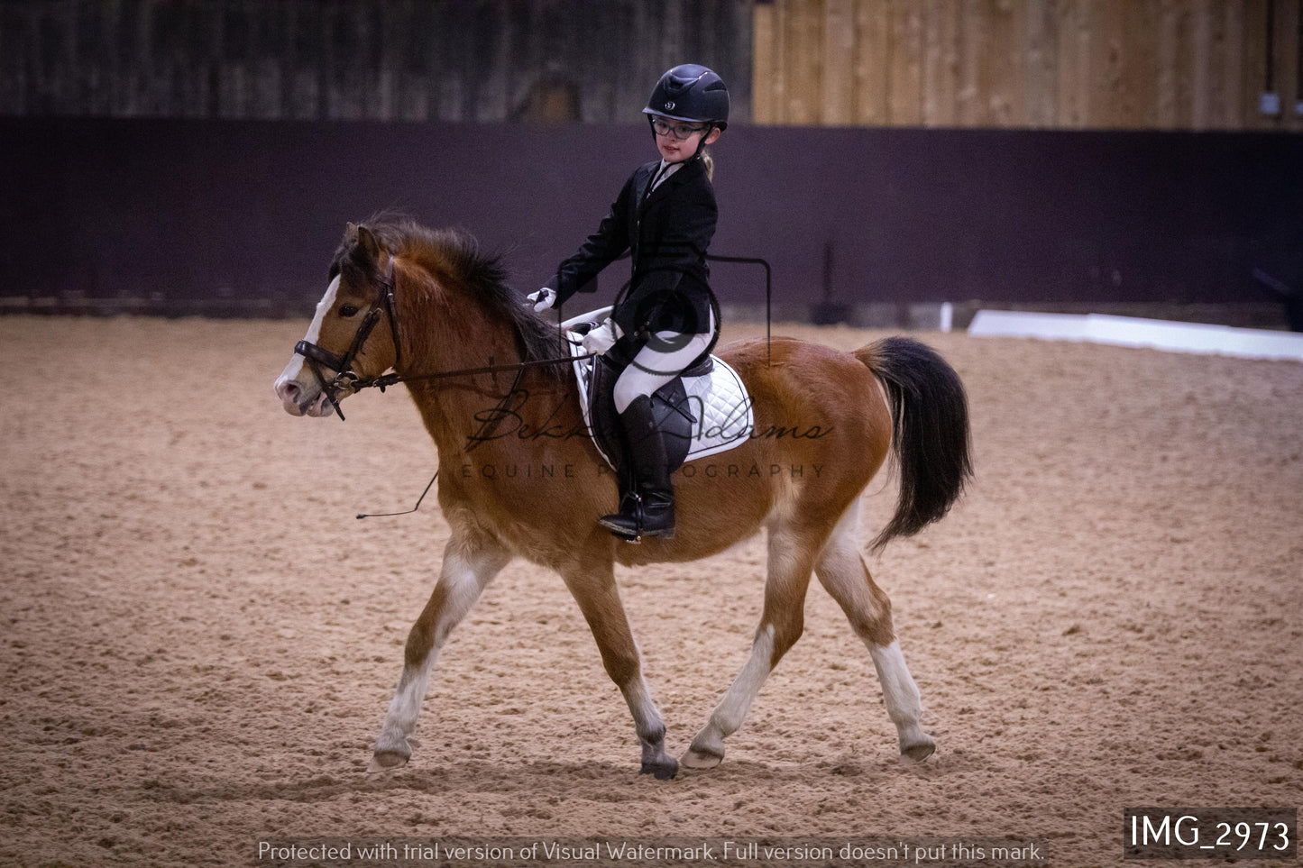 Home Farm Dressage 12th February - Juniors