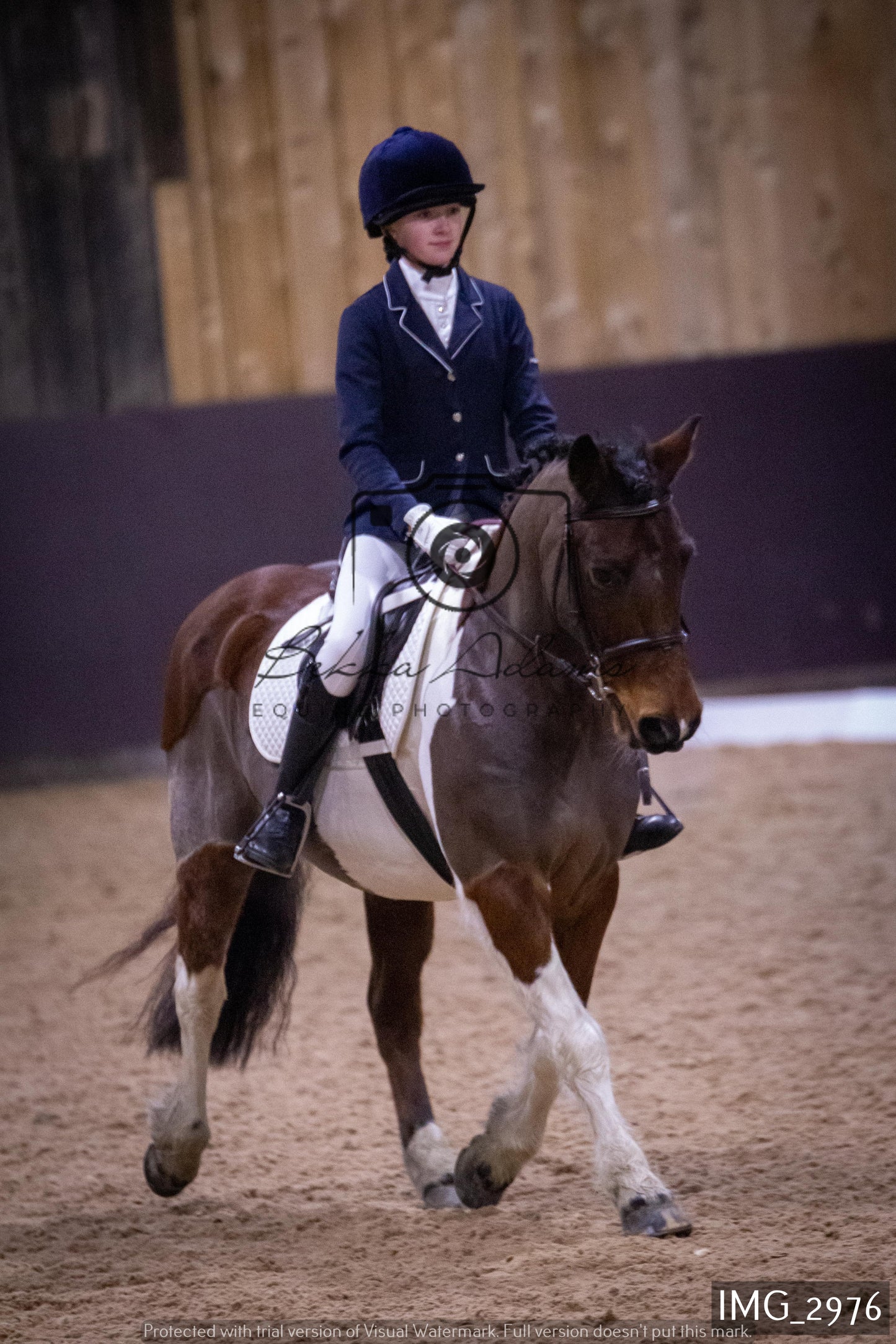 Home Farm Dressage 12th February - Juniors