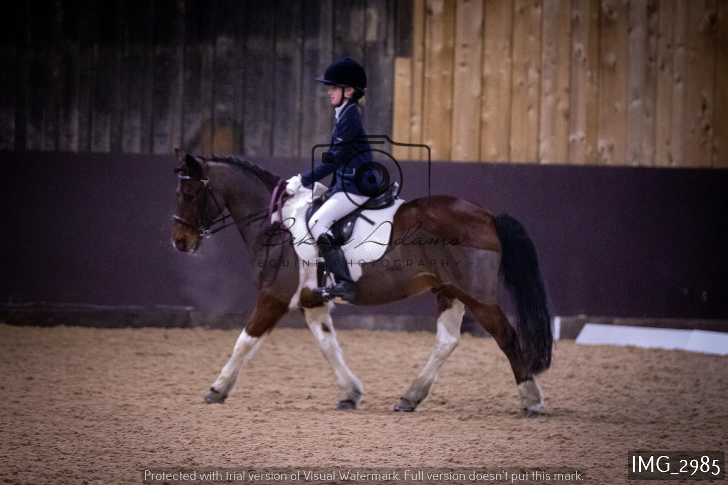Home Farm Dressage 12th February - Juniors