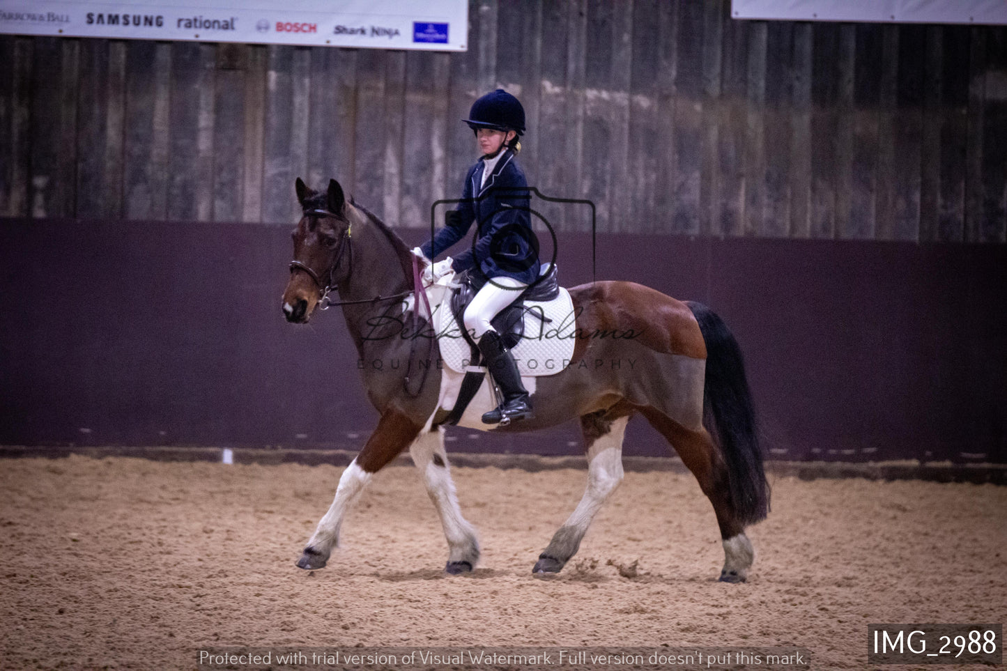 Home Farm Dressage 12th February - Juniors