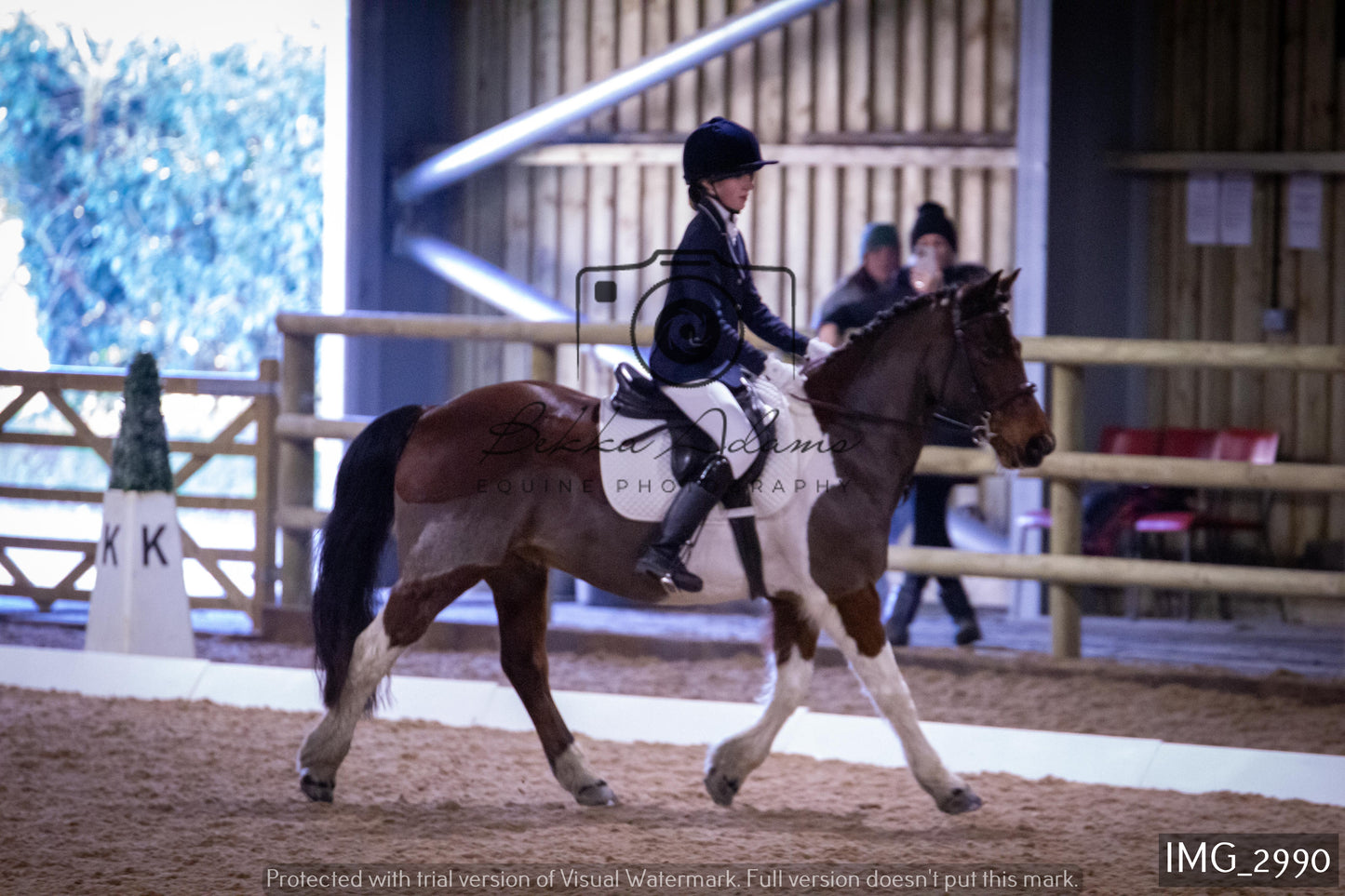 Home Farm Dressage 12th February - Juniors