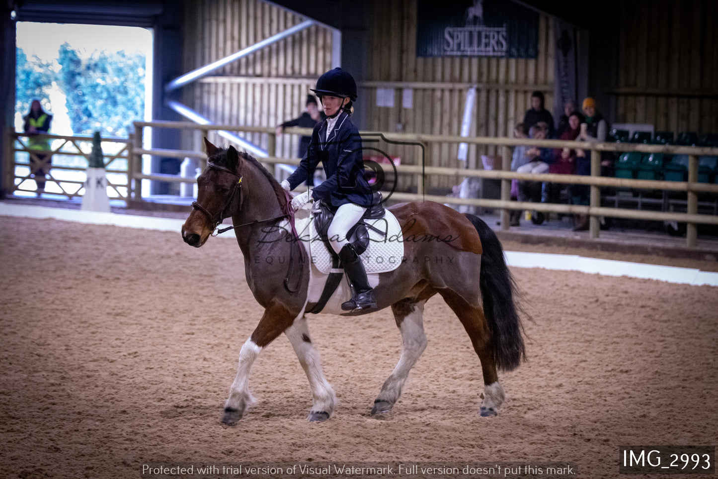 Home Farm Dressage 12th February - Juniors
