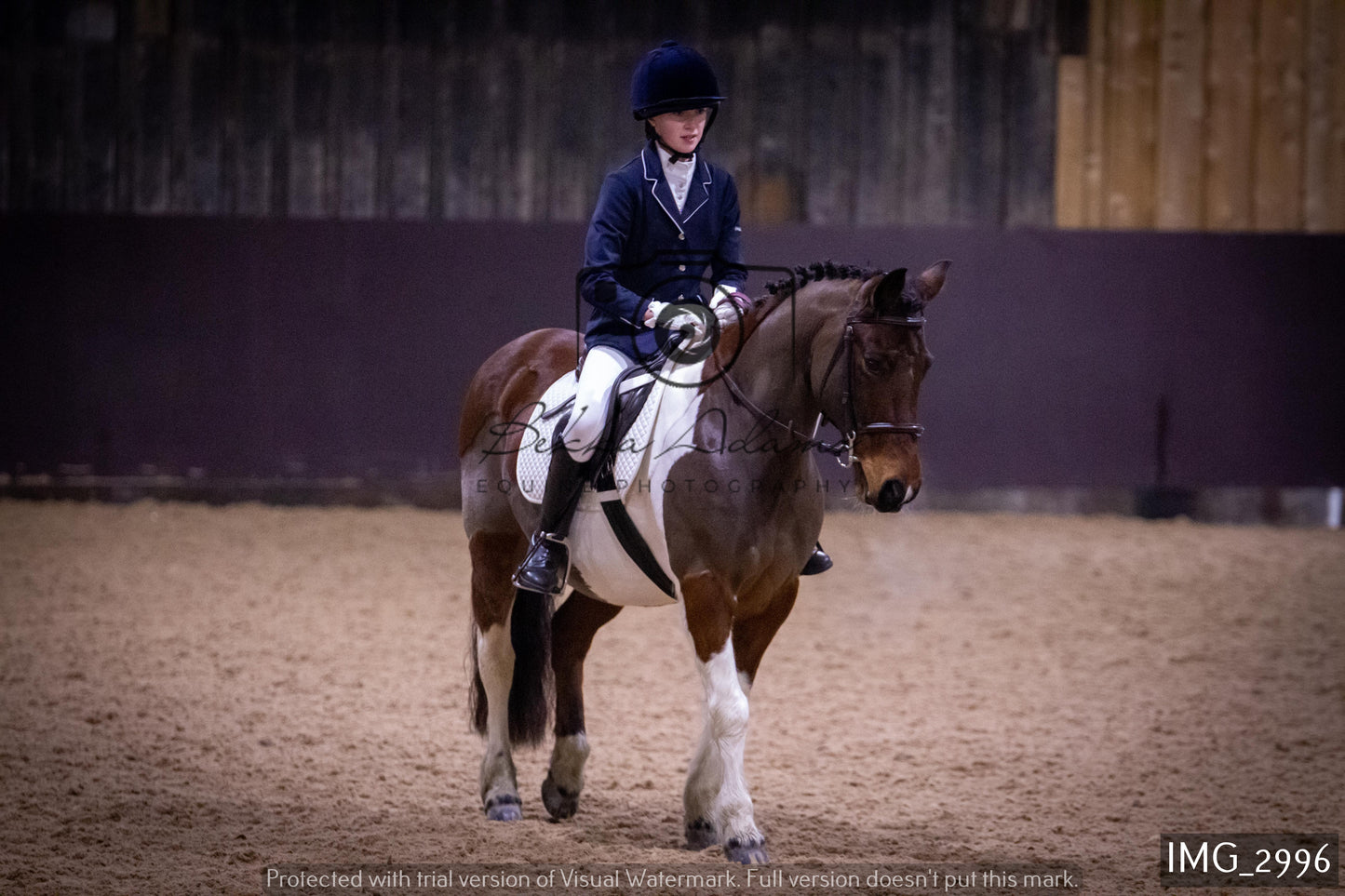 Home Farm Dressage 12th February - Juniors