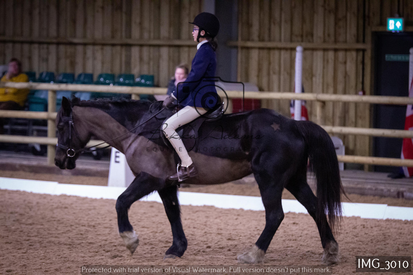 Home Farm Dressage 12th February - Juniors