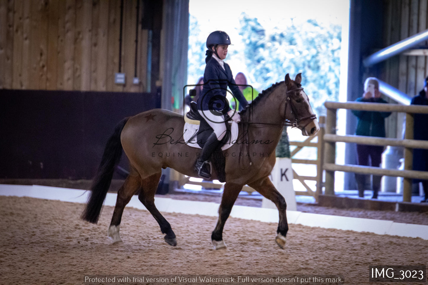 Home Farm Dressage 12th February - Juniors