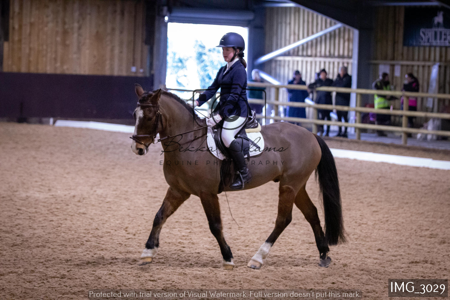 Home Farm Dressage 12th February - Juniors