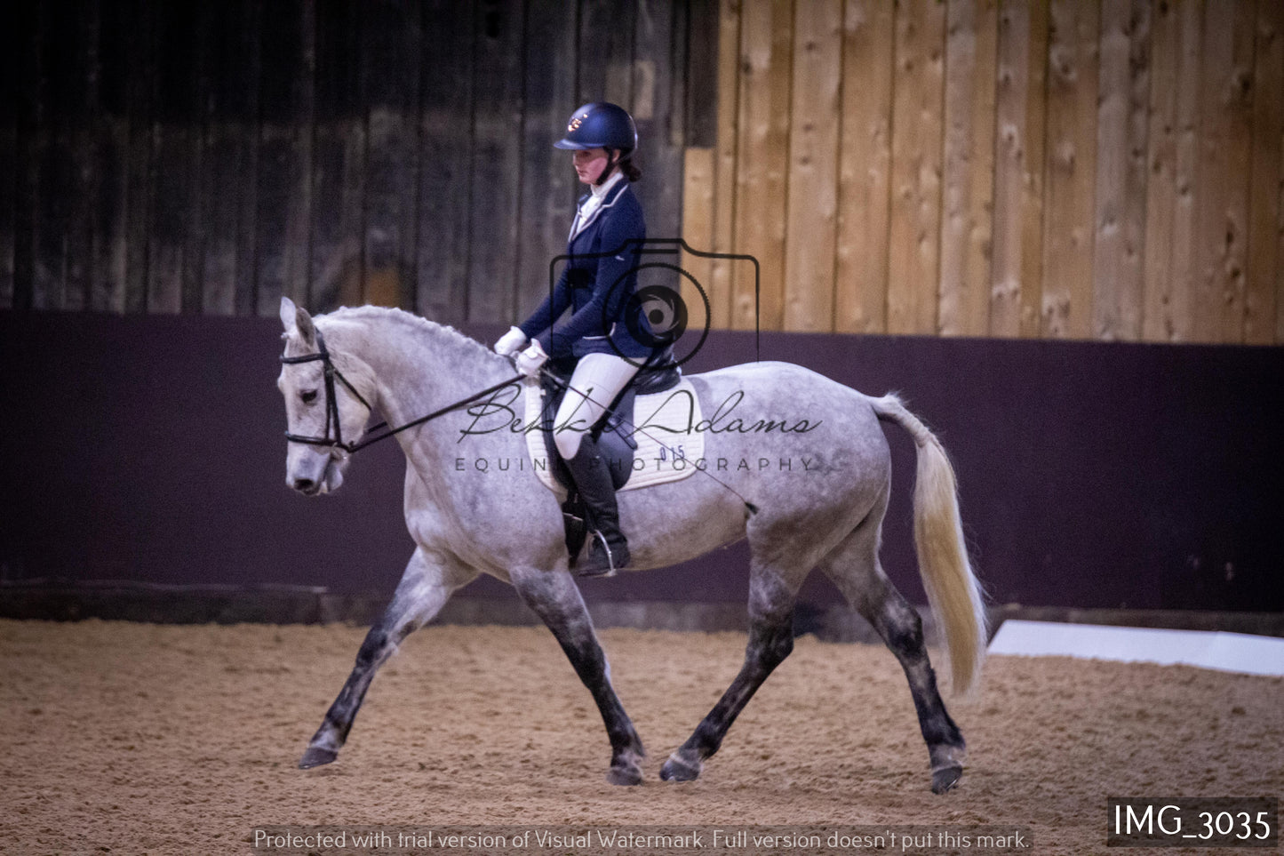Home Farm Dressage 12th February - Juniors