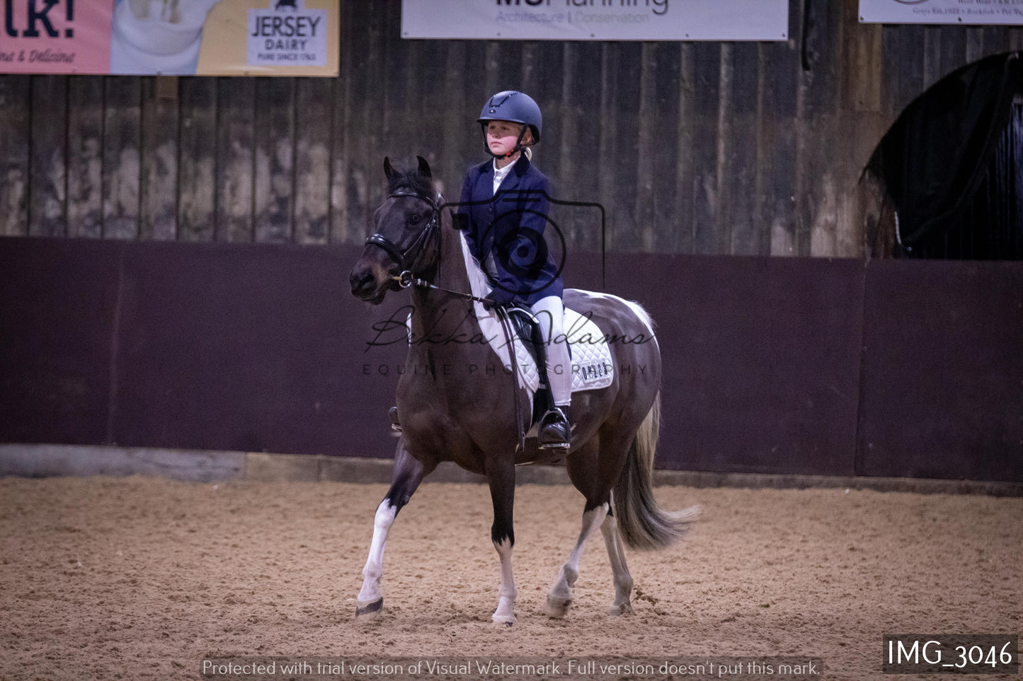 Home Farm Dressage 12th February - Juniors