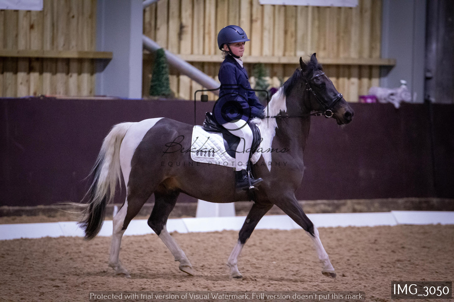 Home Farm Dressage 12th February - Juniors