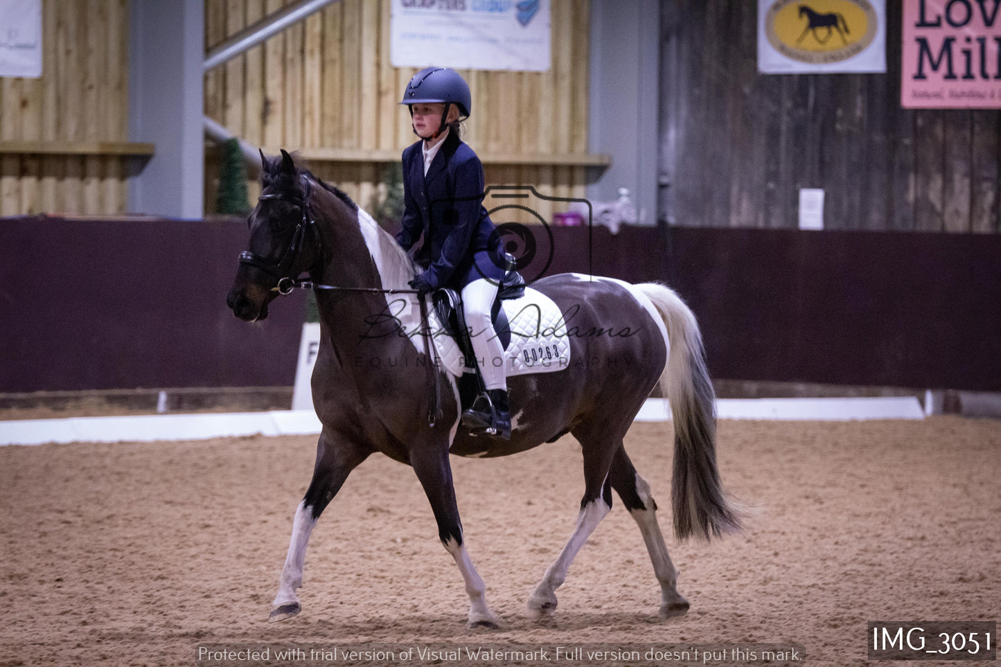 Home Farm Dressage 12th February - Juniors