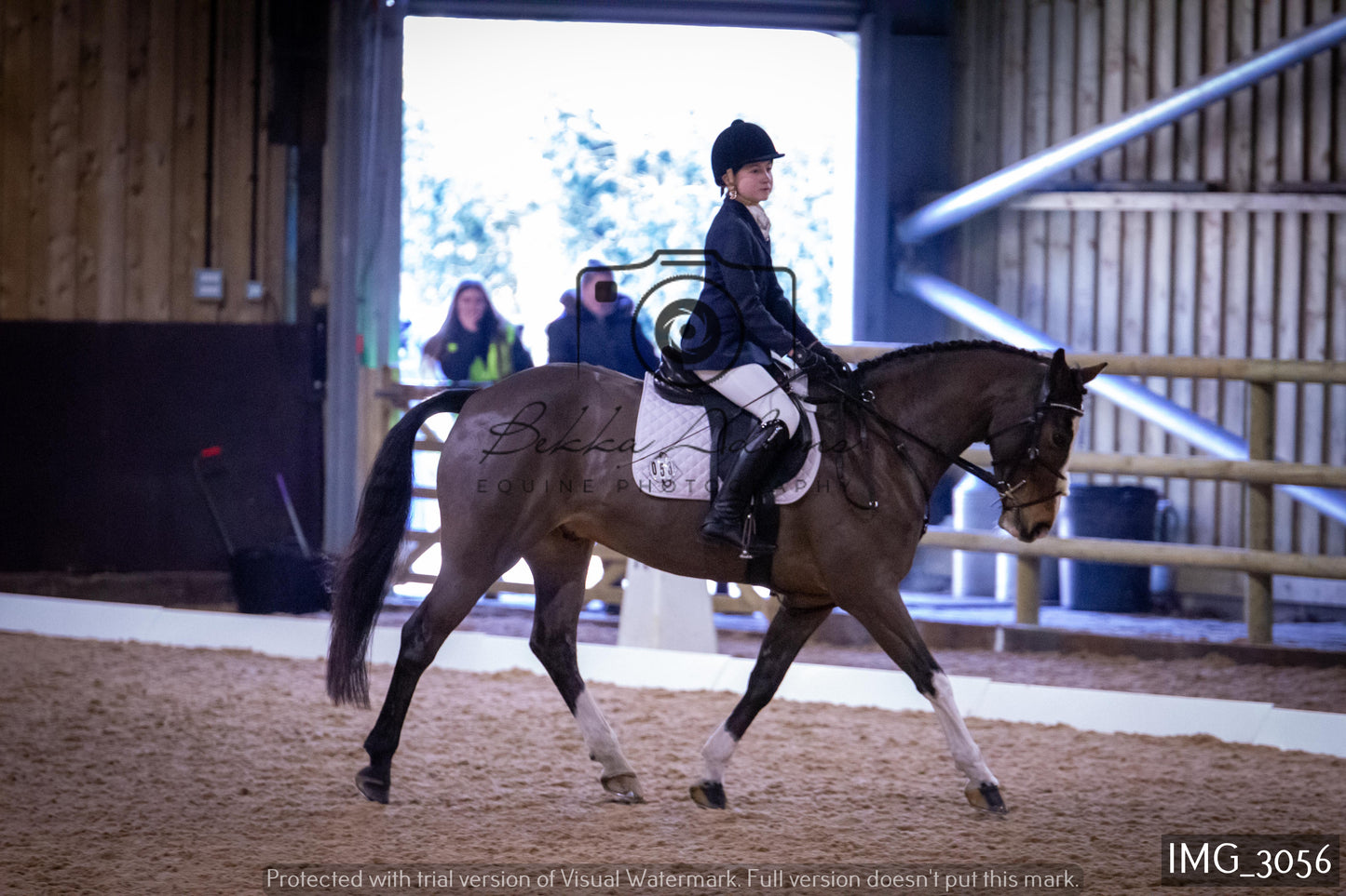 Home Farm Dressage 12th February - Juniors