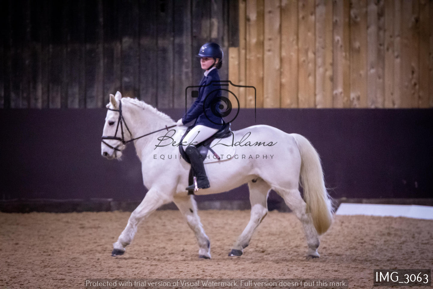 Home Farm Dressage 12th February - Juniors