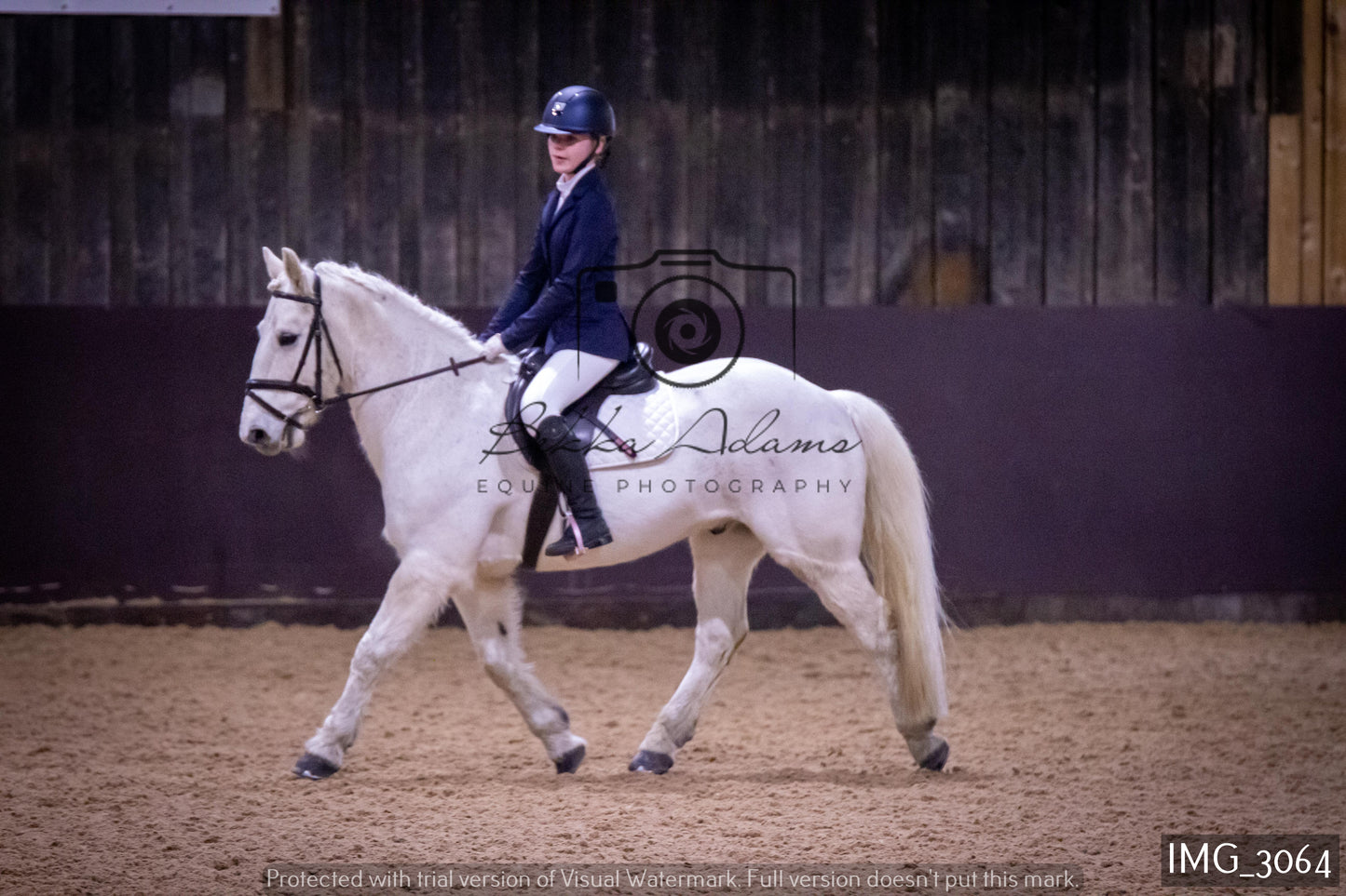 Home Farm Dressage 12th February - Juniors