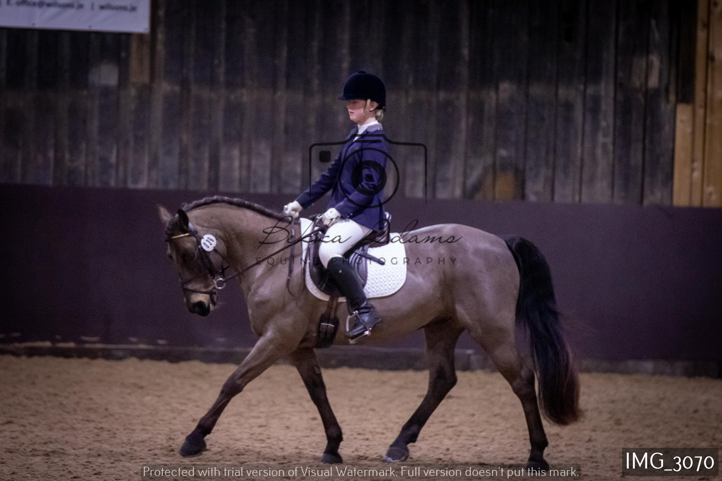 Home Farm Dressage 12th February - Juniors