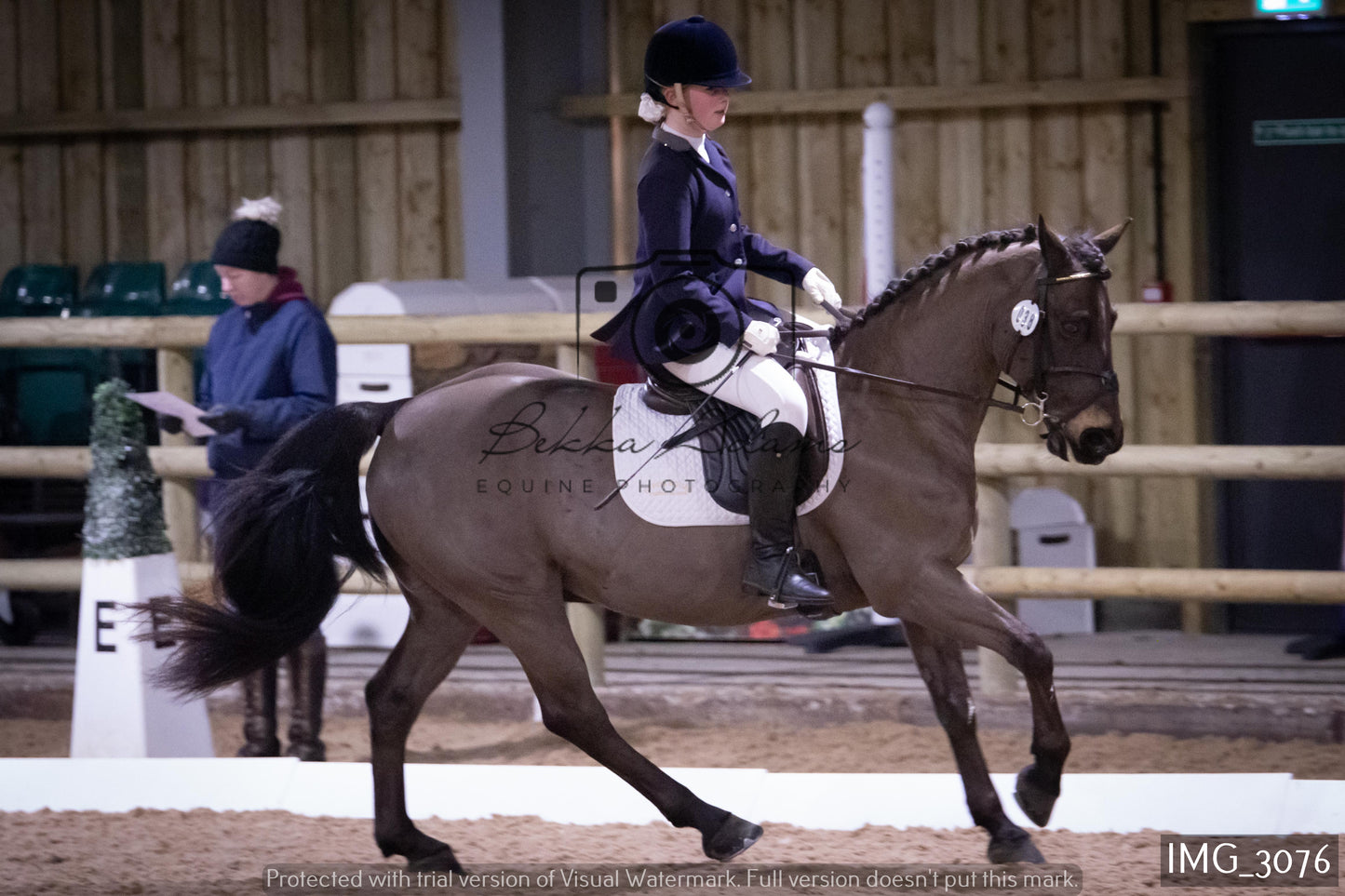 Home Farm Dressage 12th February - Juniors