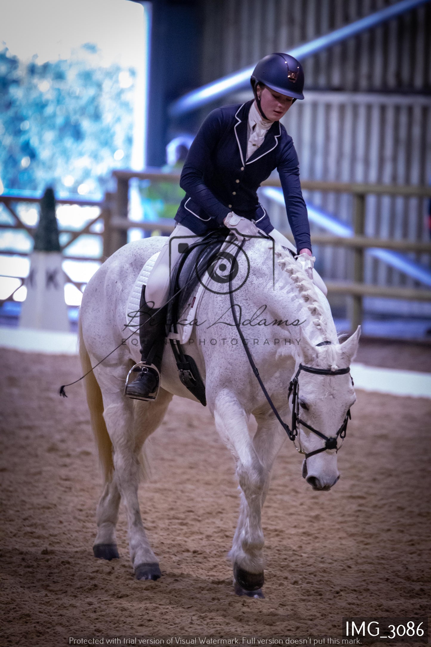 Home Farm Dressage 12th February - Juniors