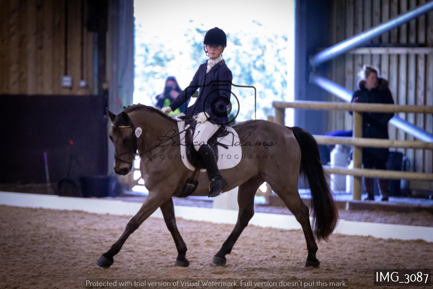 Home Farm Dressage 12th February - Juniors