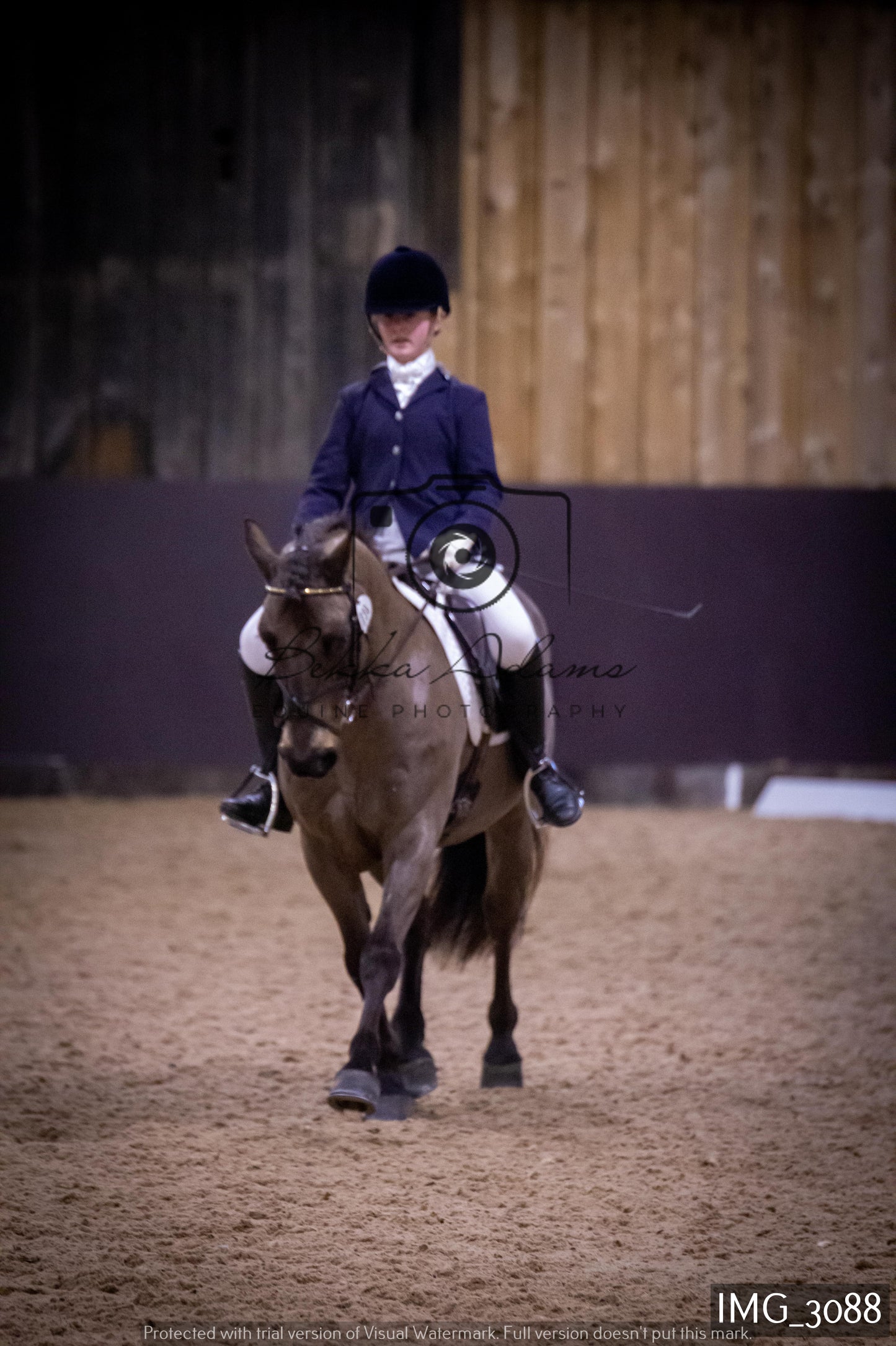 Home Farm Dressage 12th February - Juniors