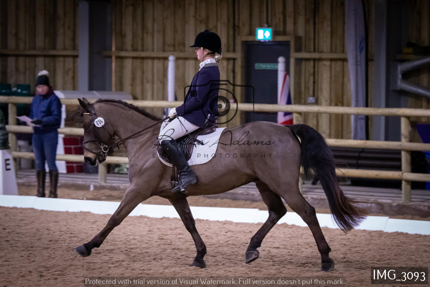 Home Farm Dressage 12th February - Juniors