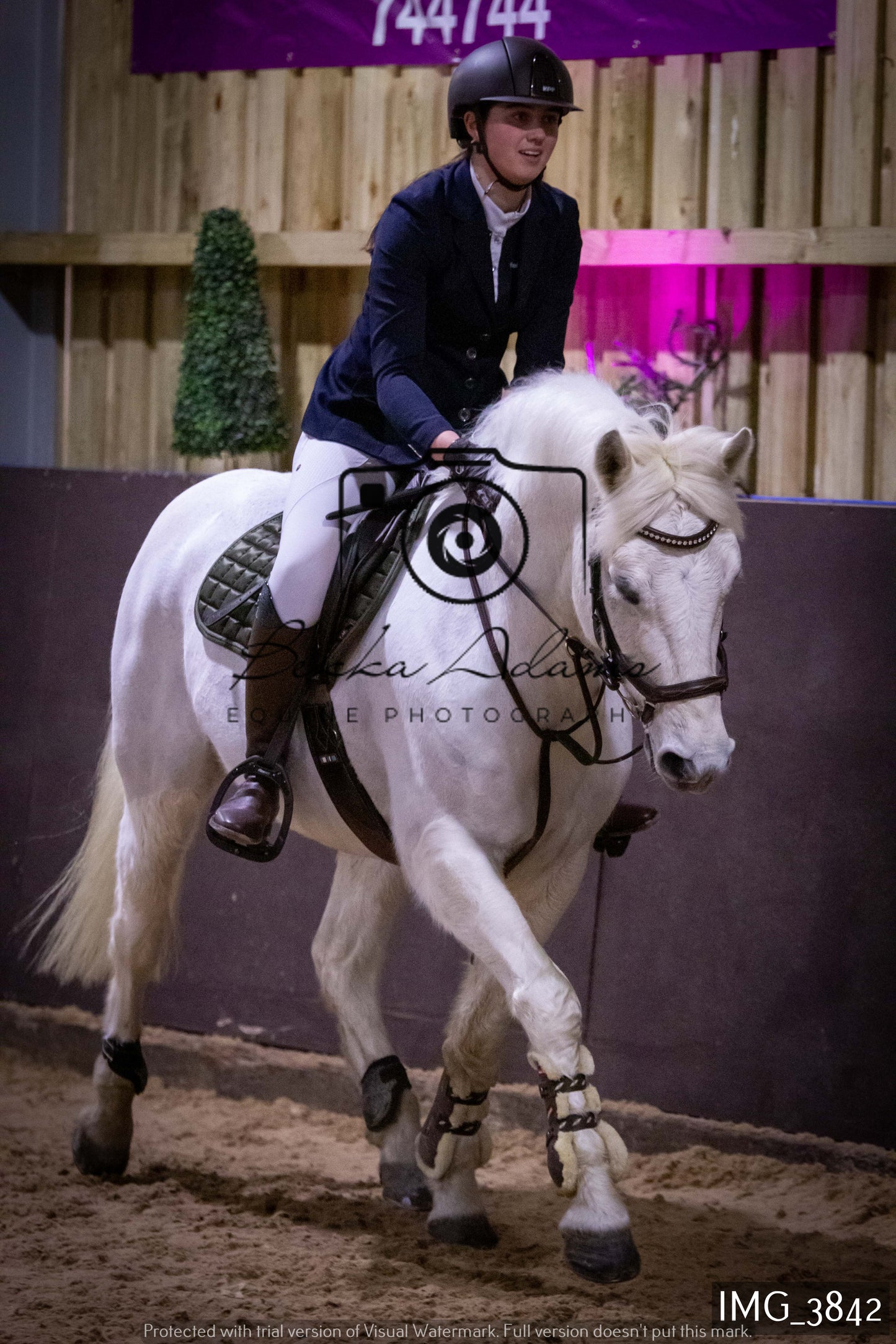 Home Farm Jumping 19th February - Juniors