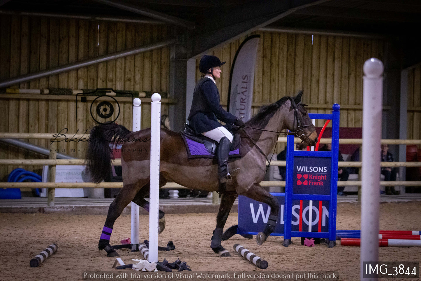 Home Farm Jumping 19th February - Seniors