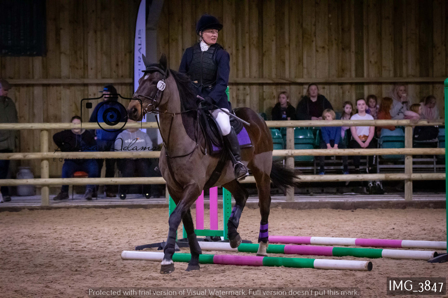 Home Farm Jumping 19th February - Seniors