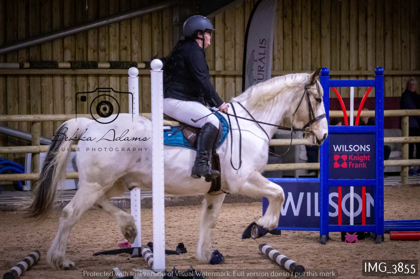 Home Farm Jumping 19th February - Seniors
