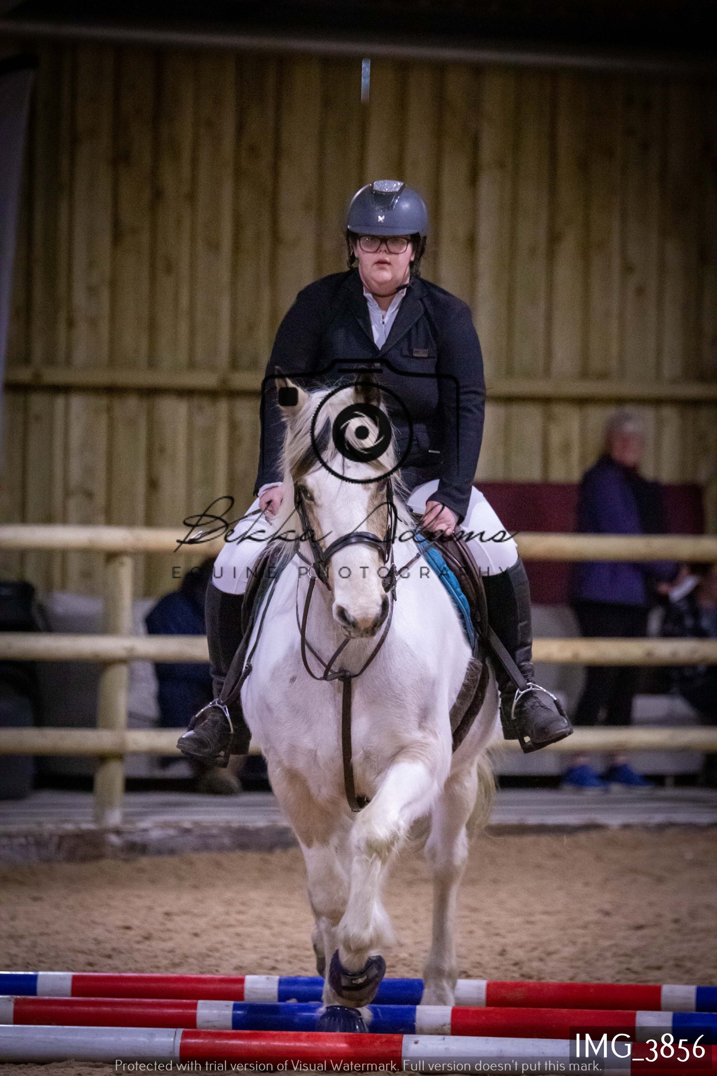 Home Farm Jumping 19th February - Seniors
