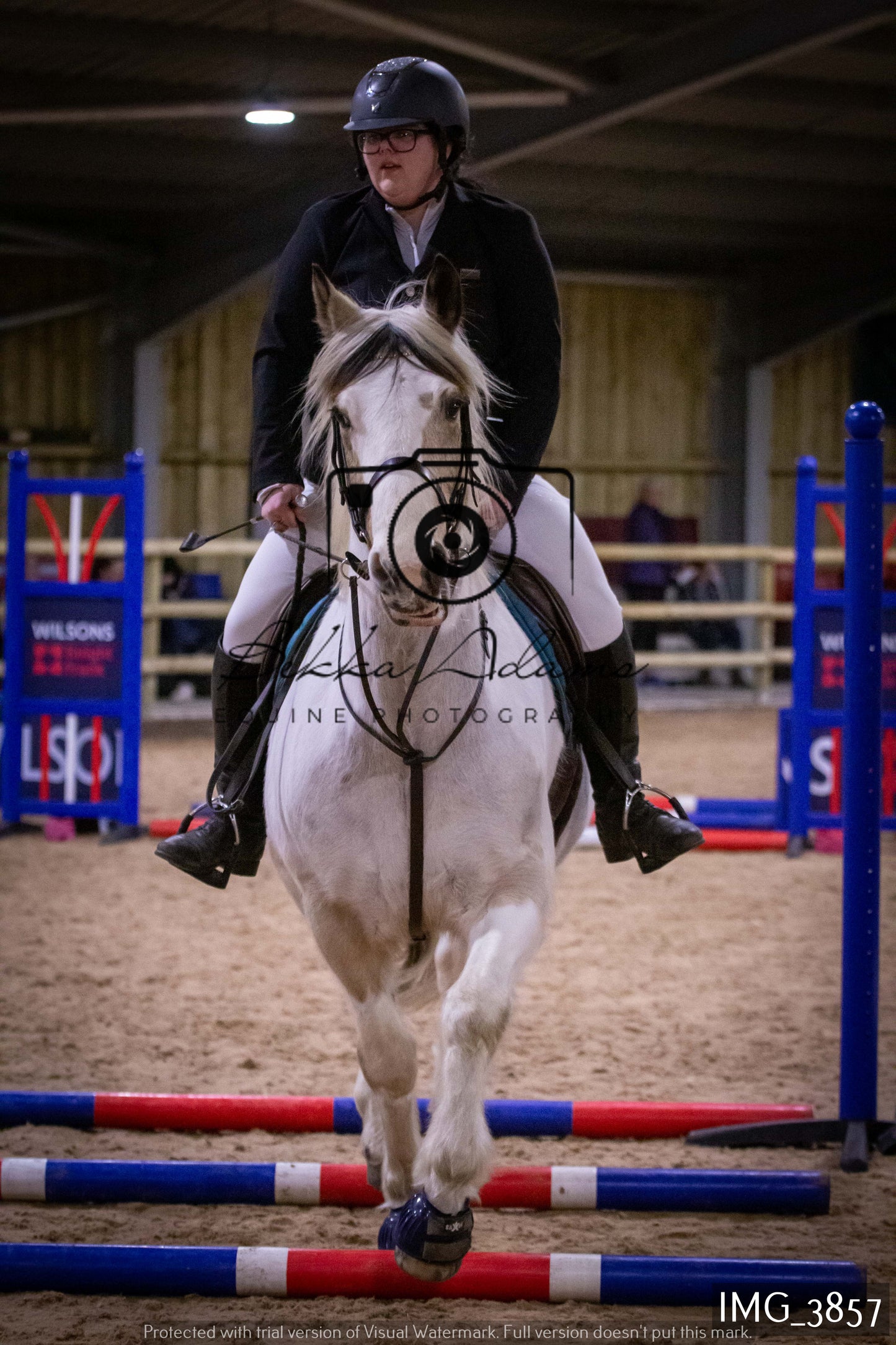 Home Farm Jumping 19th February - Seniors