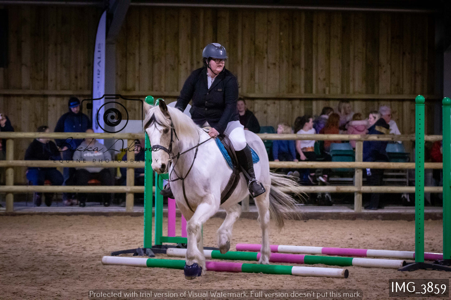 Home Farm Jumping 19th February - Seniors