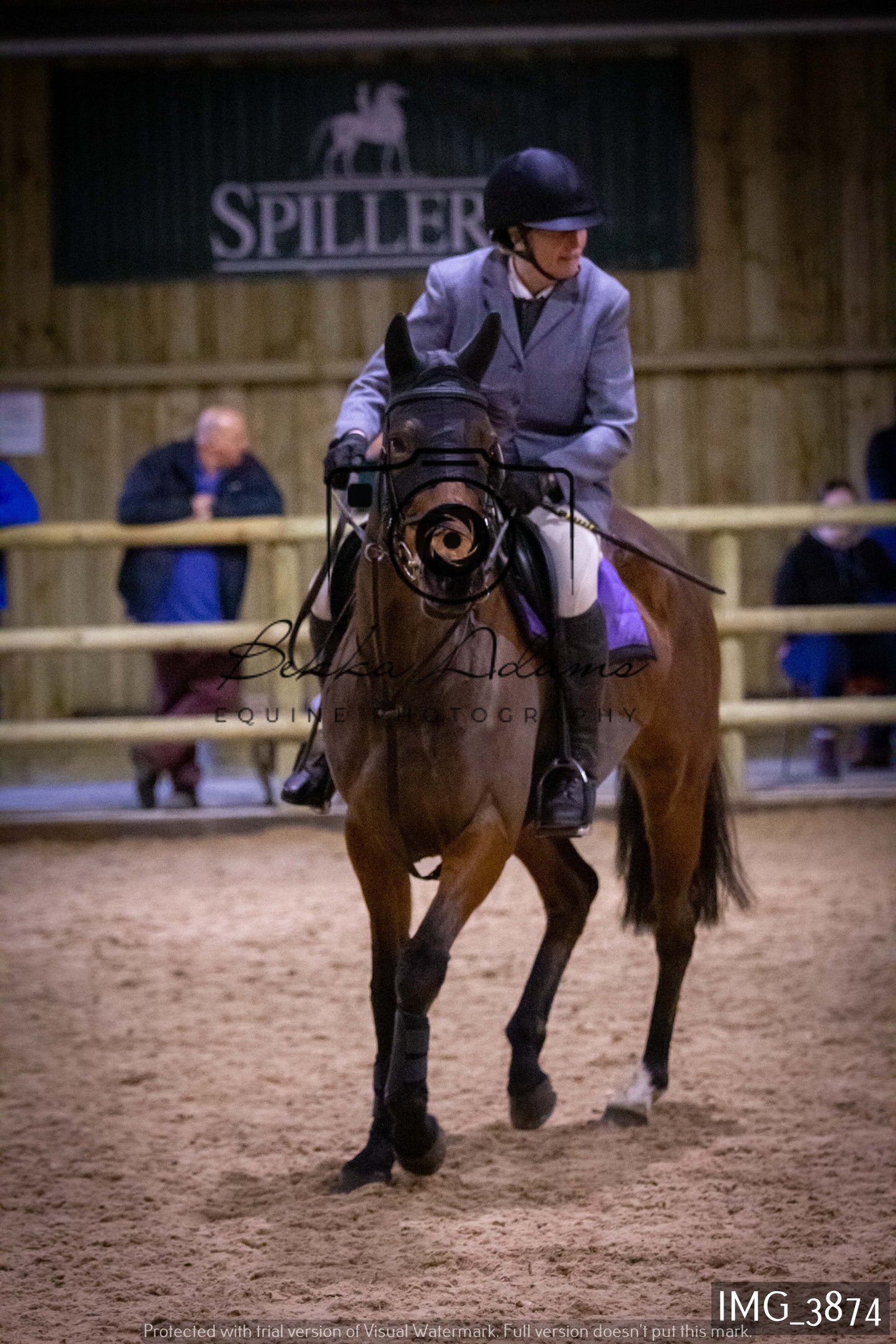 Home Farm Jumping 19th February - Seniors